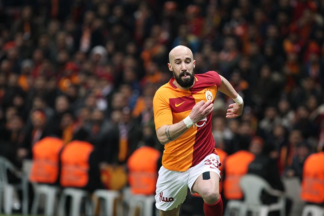 个人努力的 个人努力的