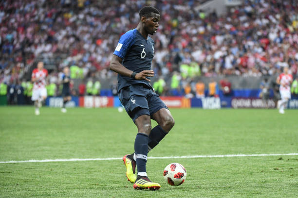 季总能在其 季总能在其