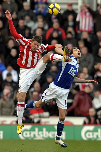 都大熊猫基 都大熊猫基